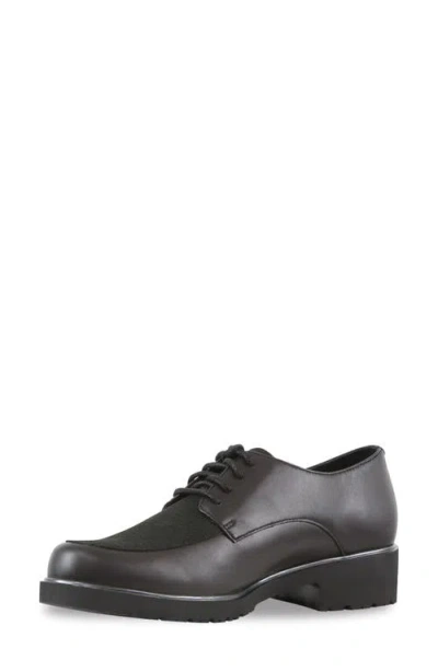 Munro Ronnie Water Resistant Lizard Embossed Derby In Black Lizard
