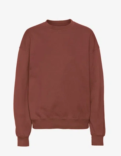 Colorful Standard Organic Oversized Crew