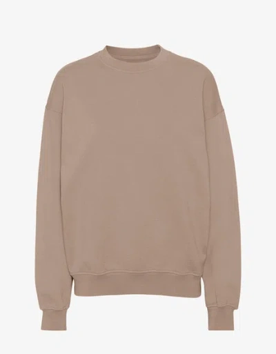 Colorful Standard Organic Oversized Crew
