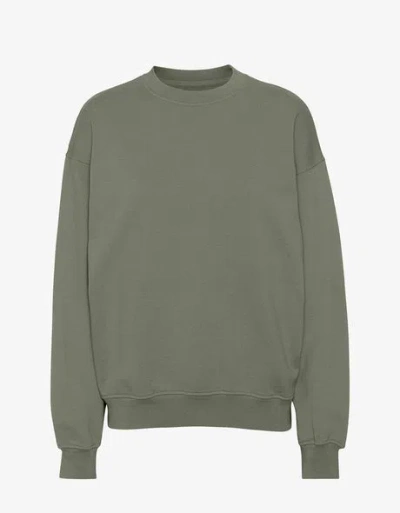 Colorful Standard Organic Oversized Crew