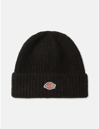 Shop Dickies Brewton Beanie