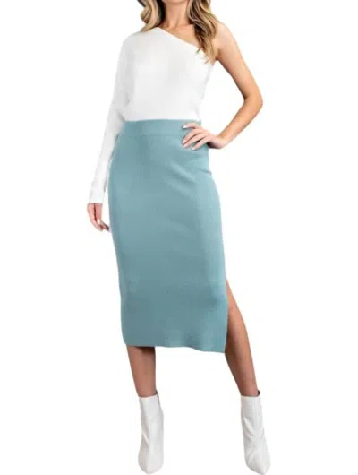 Eesome Knit Midi Skirt In Sage In Multi