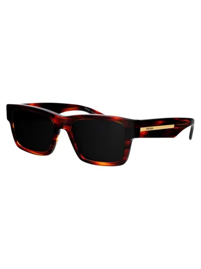 Prada 0pr 25zs Sunglasses In 16s03r Striped Briar Tortoise