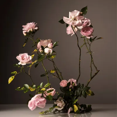 Homecourt Steeped Rose Room Deodorant