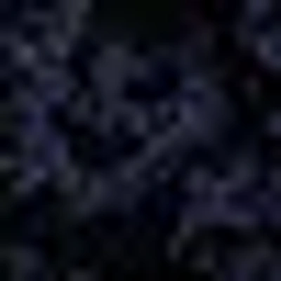Bebe X Ciara Sequin Jogger In Midnight Blue