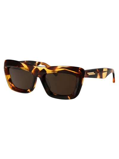 Bottega Veneta Women's Havana Acetate Sunglasses