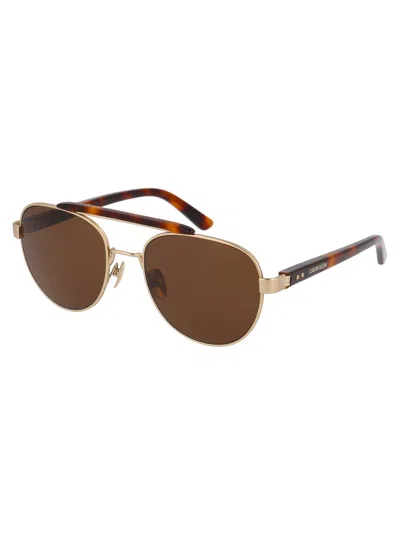 Calvin Klein Soft Tortoise Metal Sunglasses