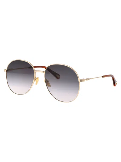 Shop Chloé Chloe Sunglasses Ch0178 S 001