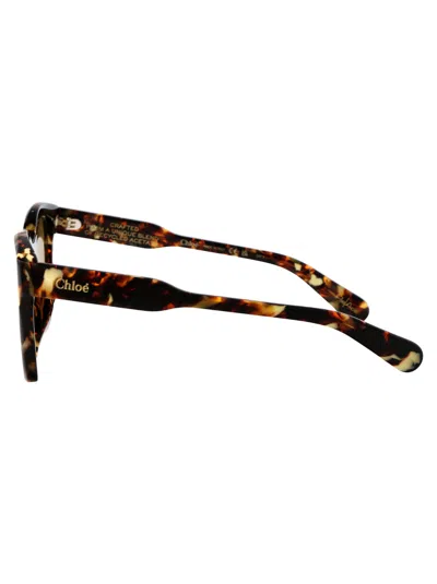 Chloé Tortoiseshell-effect Cat Eye-frame Sunglasses