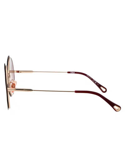 Chloé Chloe Burgundy Round Ladies Sunglasses Ch0202s 003 61