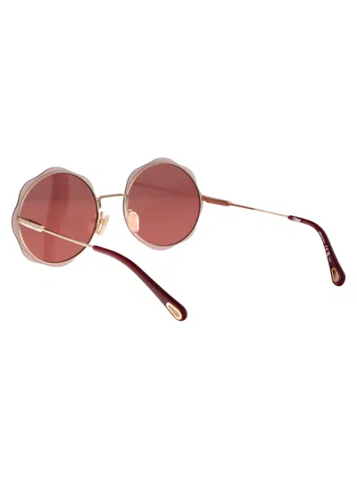 Chloé Chloe Burgundy Round Ladies Sunglasses Ch0202s 003 61