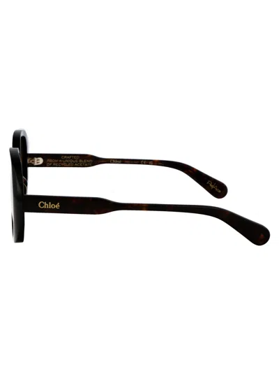 Chloé Chloe Sunglasses Ch0222 S 002