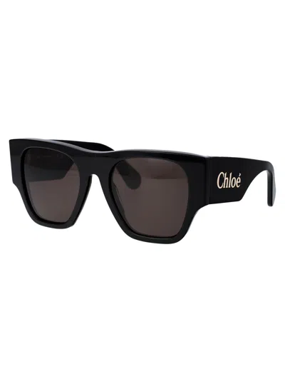 Chloé Chloe Sunglasses Ch0233 S 001