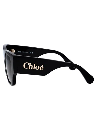 Chloé Chloe Sunglasses Ch0233 S 001