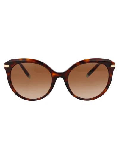Tiffany & Co Cat Eye Sunglasses 0 Tf4189 B 80023 B