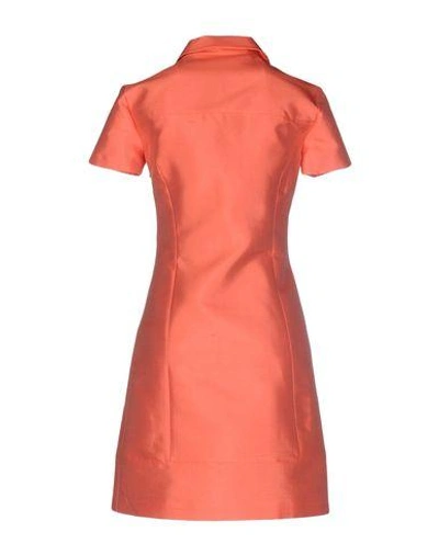 Shop Michael Kors Short Dress In Salmon Pink