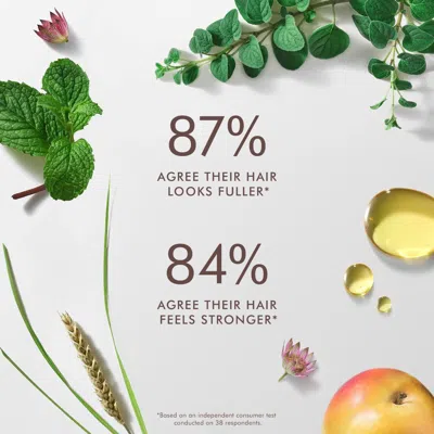 Moroccanoil Revitalizing Scalp Tonic