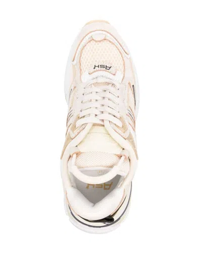 Ash Race Sneakers In Beige