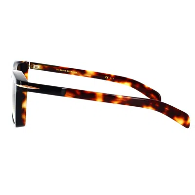 Eyewear By David Beckham Sunglasses In Brown