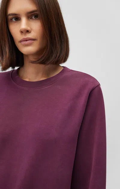 Mavi Sweatshirt In Sassafras In Purple