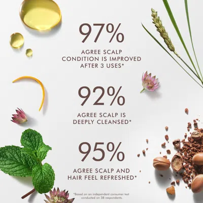 Moroccanoil Purifying Scalp Scrub 4.2 Oz.