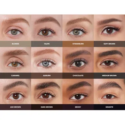 Anastasia Beverly Hills Brow Wiz