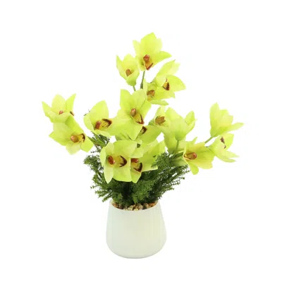 Creative Displays Green Orchid Floral Arrangement