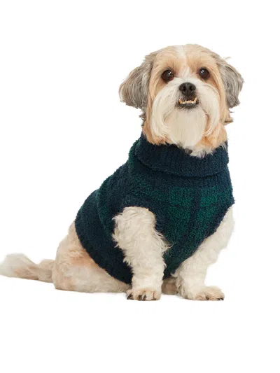 Bare The Plaid Dog Sweater In Blue