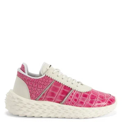 Giuseppe Zanotti Urchin In Pink