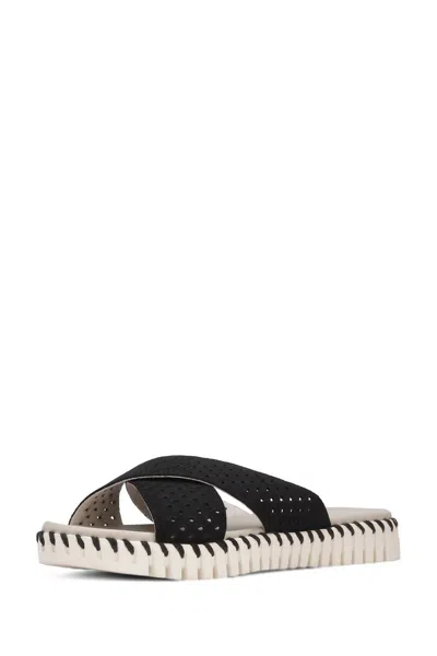 Ilse Jacobsen Tulip Criss-cross Sandal In Black In Black