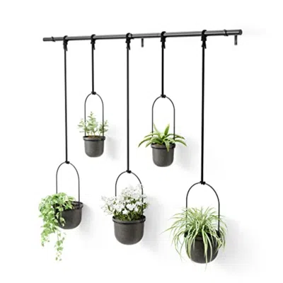 Umbra Triflora Hanging Planter, Set Of 5