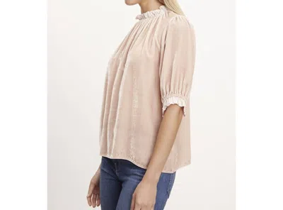 Velvet By Graham & Spencer Val Silk Velvet Top In Camellia In Beige