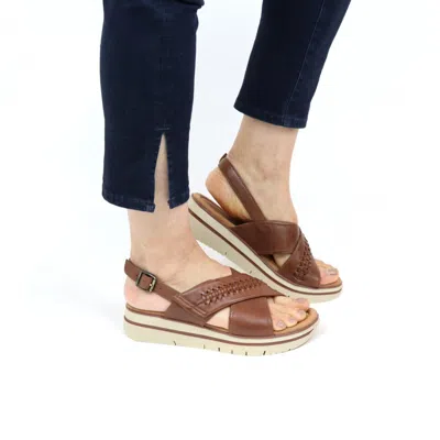 Salvia Women's Aidan Platforms In Cuoio Pebble In Brown