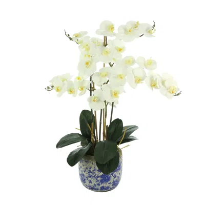 Creative Displays White Orchids Floral Arrangement