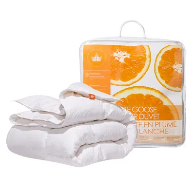 Canadian Down & Feather Company White Goose Feather Duvet All Season Weight