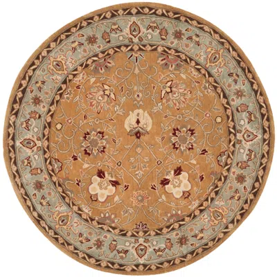 Safavieh Total Performance Rug