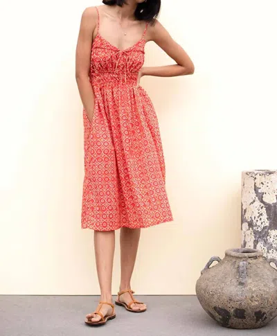 Ciao Lucia Contessa Dress In Poppy In Pink