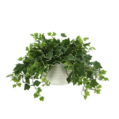 Creative Displays Ivy Plant In A Glass Vase
