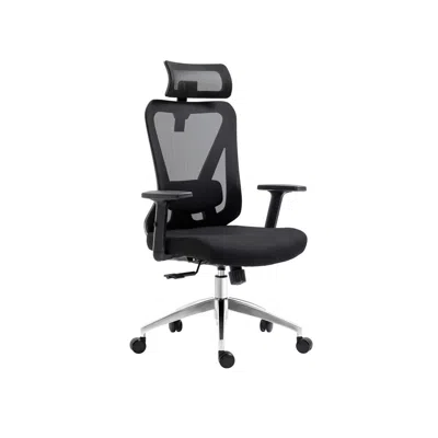 Techni Mobili Truly Ergonomic Mesh Office Chair With Headrest & Lumbar Support, Black