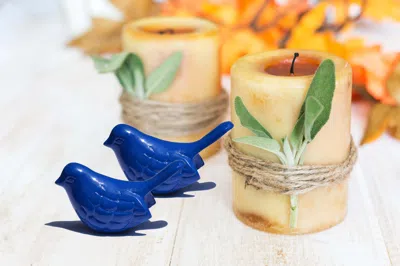 Vibhsa Bluebird Of Happiness Home Decor Accents Set Of 2