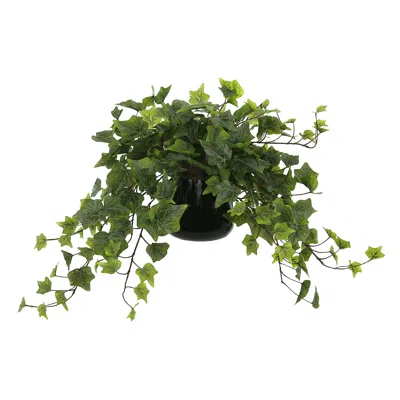 Creative Displays Ivy Arrangement In A Glass Vase