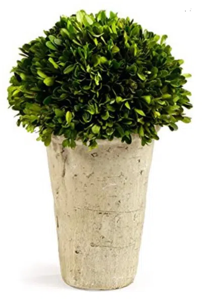 Napa Home & Garden Three Quarter Ball In Tom Pot