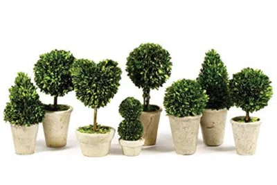 Napa Home & Garden Set Of 8 Topiaries