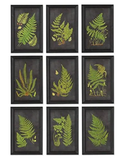 Napa Home & Garden Set Of 9 Framed Fern Botanical Prints