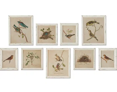Napa Home & Garden Framed Aviary Bird & Nest Habitat Prints