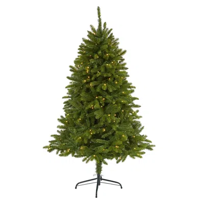 Homplanti 5' Sierra Spruce Christmas Tree With 200 Clear Led Lights