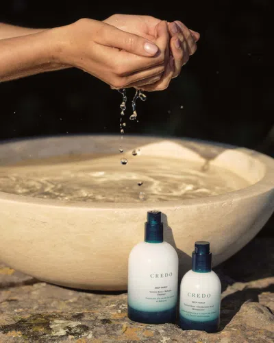 Credo Deep Thirst Vetiver Root + Babassu Cleanser For Dry Skin