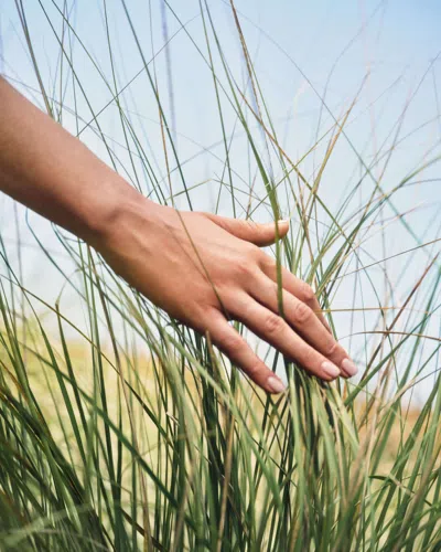 Credo Rewinder Vetiver Root + Bakuchiol Moisturizer For Aging Skin