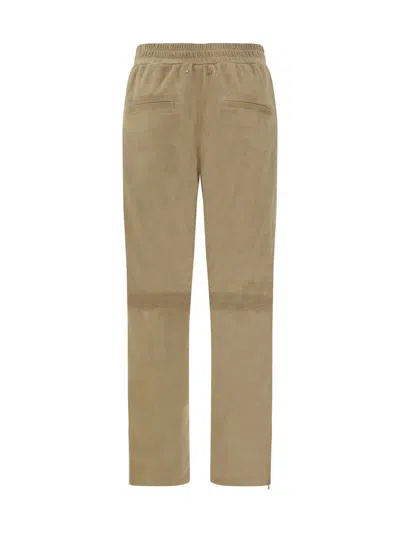 Shop Golden Goose Pants In Brown