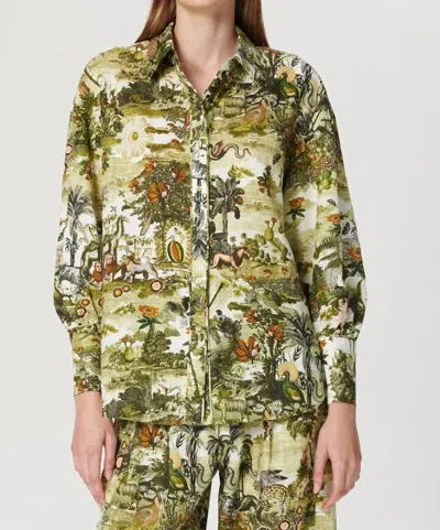 CHUFY SIERRA BUTTON DOWN SHIRT IN EDEN GREEN 